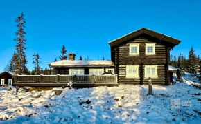 Large cozy log cabin with sauna and nice view in Sjusjøen